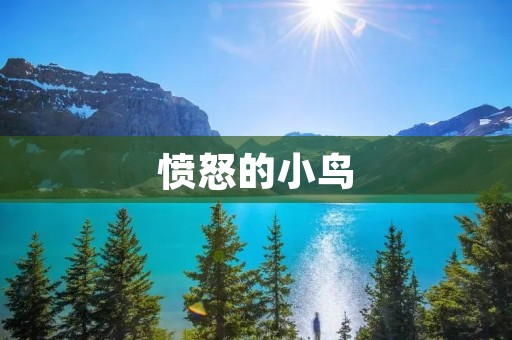 愤怒的小鸟:一个令人上瘾的游戏