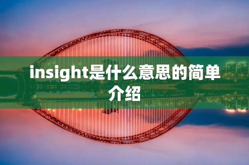 insight是什么意思的简单介绍 insight是什么意思的简单介绍