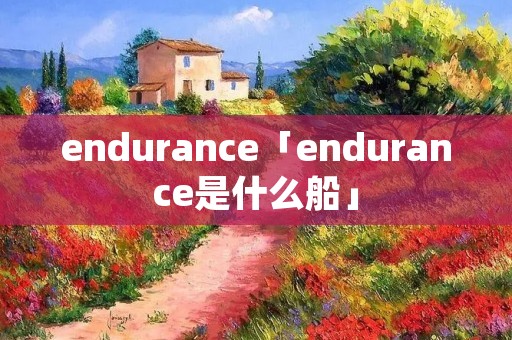 endurance「endurance是什么船」