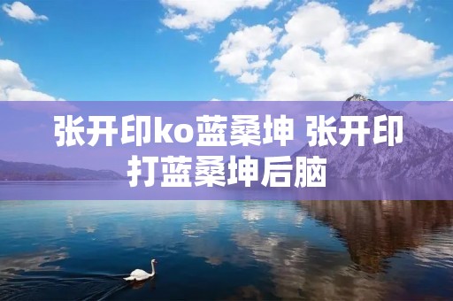 张开印ko蓝桑坤 张开印打蓝桑坤后脑 张开印ko蓝桑坤 张开印打蓝桑坤后脑