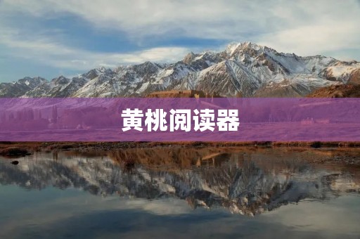 黄桃阅读器：打开新世界的大门