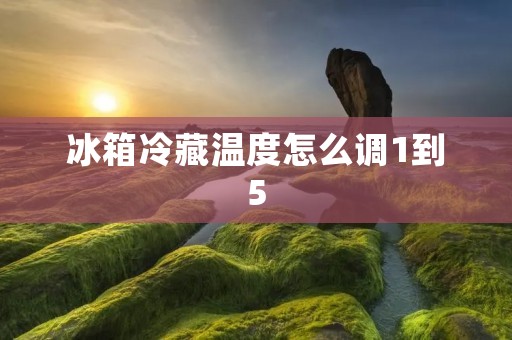 冰箱冷藏温度怎么调1到5