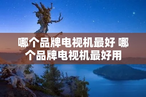 哪个品牌电视机最好 哪个品牌电视机最好用