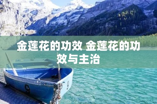 金莲花的功效 金莲花的功效与主治