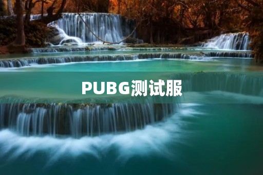 PUBG测试服:全新版本的体验 PUBG测试服:全新版本的体验