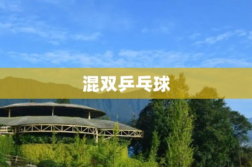 混双乒乓球：双打新风潮
