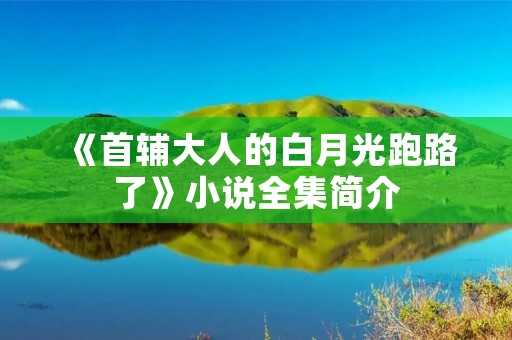 《首辅大人的白月光跑路了》小说全集简介