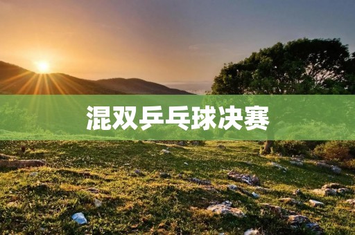 混双乒乓球决赛：顶级选手的激烈角逐