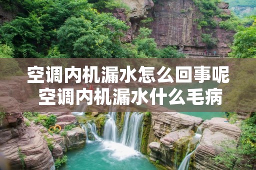 空调内机漏水怎么回事呢 空调内机漏水什么毛病 空调内机漏水怎么回事呢 空调内机漏水什么毛病