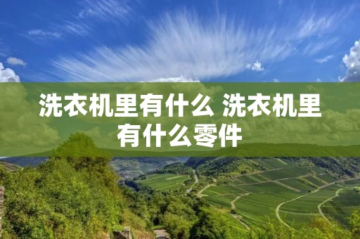 洗衣机里有什么 洗衣机里有什么零件