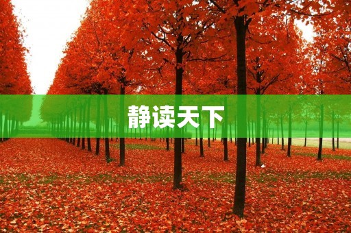 静读天下:探寻心灵的宁静与智慧 静读天下:探寻心灵的宁静与智慧