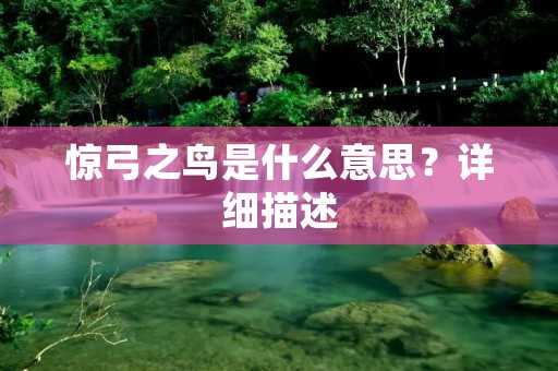 惊弓之鸟是什么意思?详细描述