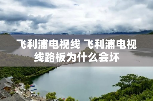 飞利浦电视线 飞利浦电视线路板为什么会坏