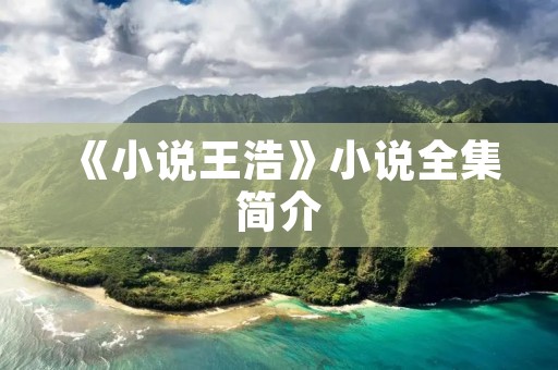 《小说王浩》小说全集简介
