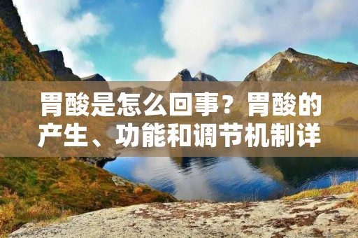 胃酸是怎么回事?胃酸的产生、功能和调节机制详解 胃酸是怎么回事?胃酸的产生、功能和调节机制详解