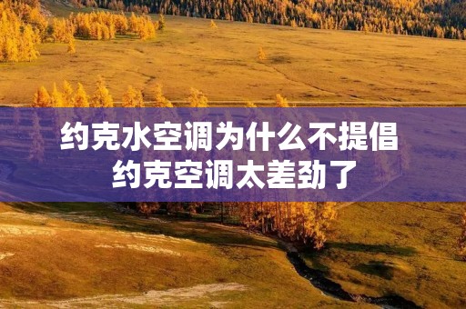 约克水空调为什么不提倡 约克空调太差劲了