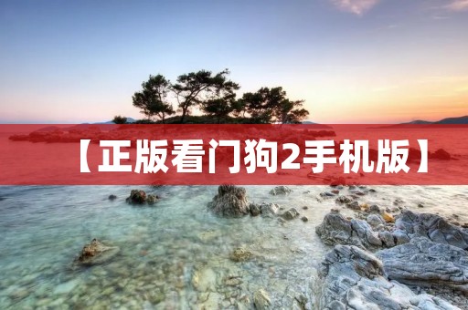 【正版看门狗2手机版】：打造真实的黑客世界