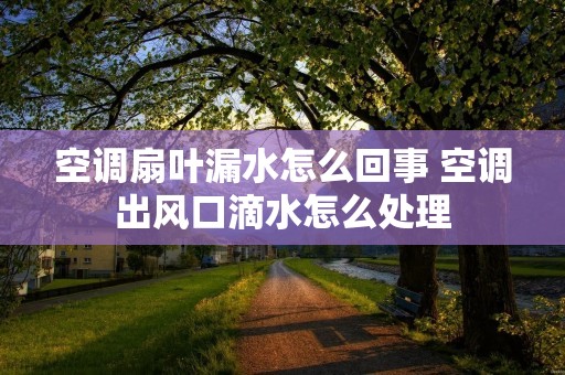 空调扇叶漏水怎么回事 空调出风口滴水怎么处理 空调扇叶漏水怎么回事 空调出风口滴水怎么处理