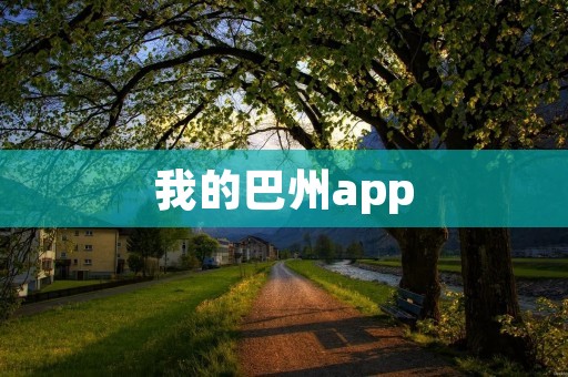 我的巴州app：探索巴州的一站式移动平台