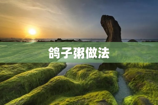 鸽子粥做法:鲜香美味的家常佳肴 鸽子粥做法:鲜香美味的家常佳肴
