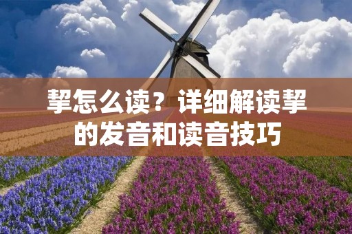 挈怎么读?详细解读挈的发音和读音技巧