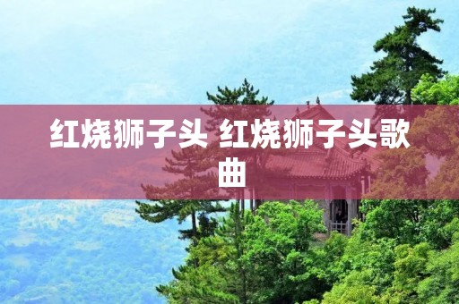 红烧狮子头 红烧狮子头歌曲