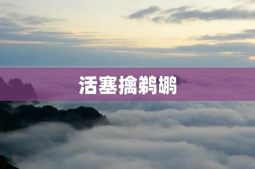 活塞擒鹈鹕：底特律活塞队的胜利之路