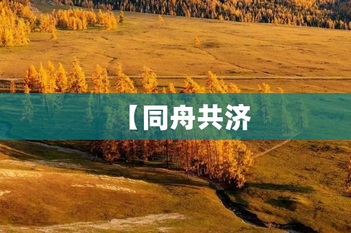 【同舟共济:困境中的合作与共赢】