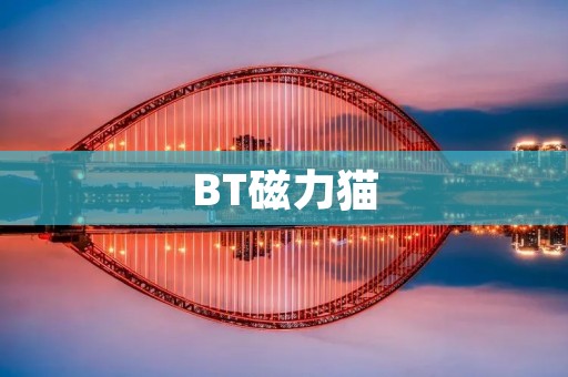 BT磁力猫：高效便捷的磁力链接搜索引擎