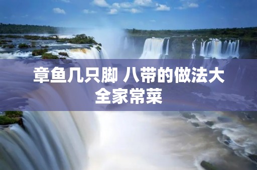 章鱼几只脚 八带的做法大全家常菜 章鱼几只脚 八带的做法大全家常菜