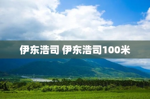 伊东浩司 伊东浩司100米