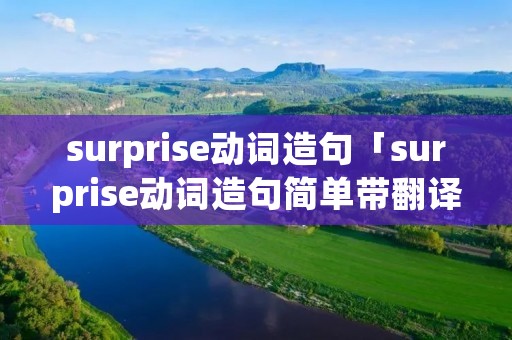 surprise动词造句「surprise动词造句简单带翻译」