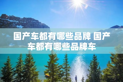 国产车都有哪些品牌 国产车都有哪些品牌车
