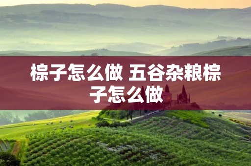 棕子怎么做 五谷杂粮棕子怎么做 棕子怎么做 五谷杂粮棕子怎么做