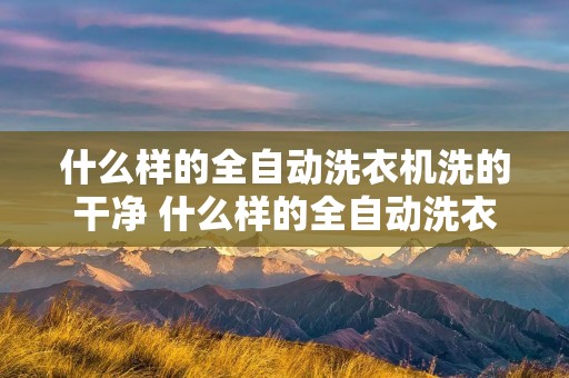 什么样的全自动洗衣机洗的干净 什么样的全自动洗衣机洗的干净又省水