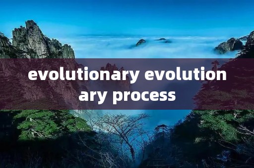 evolutionary evolutionary process