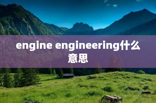 engine engineering什么意思