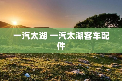 一汽太湖 一汽太湖客车配件