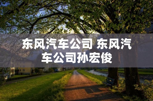 东风汽车公司 东风汽车公司孙宏俊