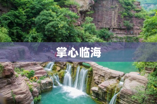 掌心临海:一场沁人心脾的自然奇遇 掌心临海:一场沁人心脾的自然奇遇