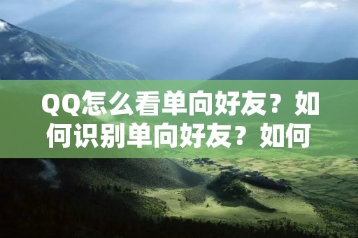 QQ怎么看单向好友?如何识别单向好友?如何处理单向好友关系?