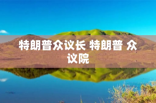 特朗普众议长 特朗普 众议院