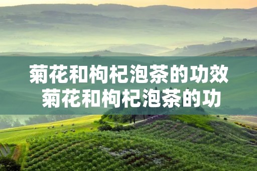 菊花和枸杞泡茶的功效 菊花和枸杞泡茶的功效女人