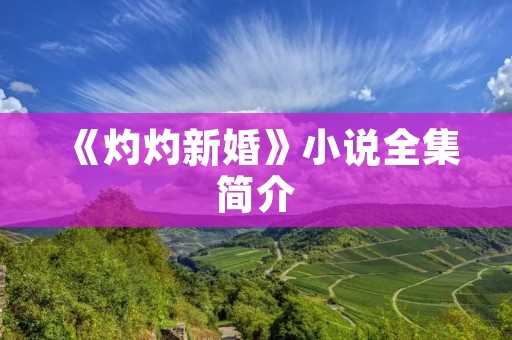 《灼灼新婚》小说全集简介