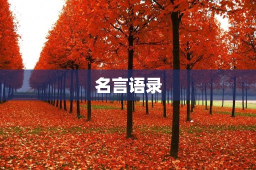 名言语录:启迪人生的智慧箴言 名言语录:启迪人生的智慧箴言