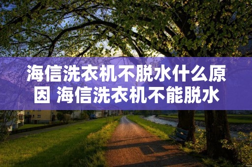 海信洗衣机不脱水什么原因 海信洗衣机不能脱水是什么原因