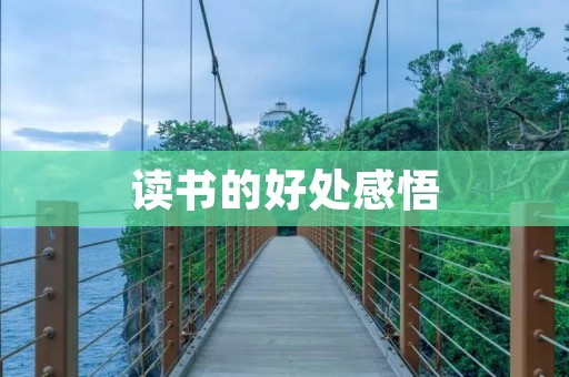 读书的好处感悟：开启智慧之门，探索无限可能