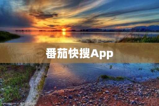 番茄快搜App：高效管理时间，提升工作效率