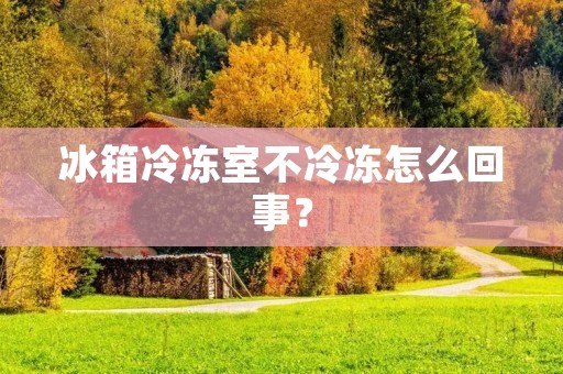 冰箱冷冻室不冷冻怎么回事? 冰箱冷冻室不冷冻怎么回事?