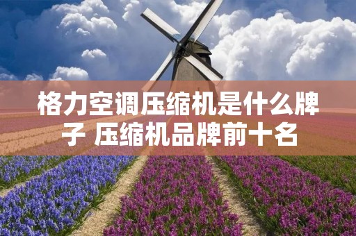 格力空调压缩机是什么牌子 压缩机品牌前十名 格力空调压缩机是什么牌子 压缩机品牌前十名